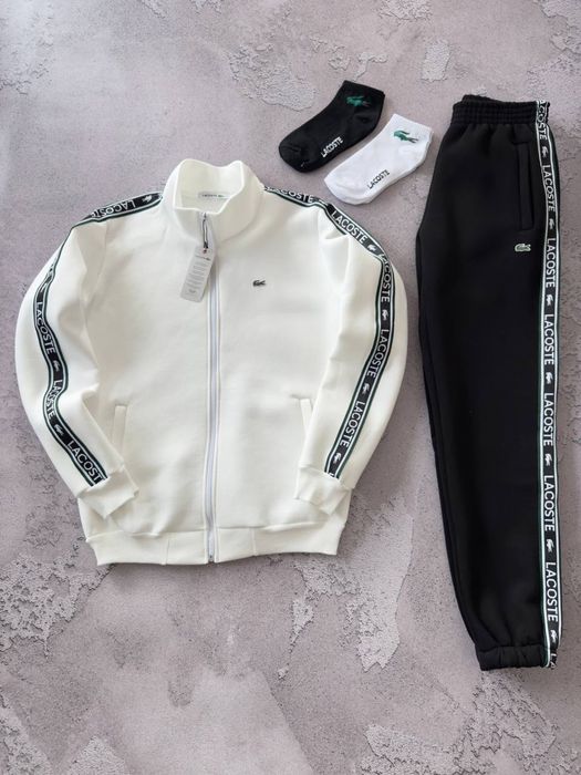 Чоловічий зимній спортивний костюм лакоста набір Lacoste [S-XXL]