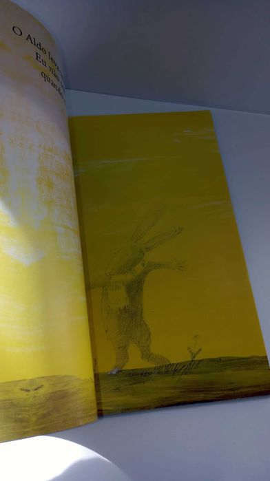 Aldo - Editora Caminho