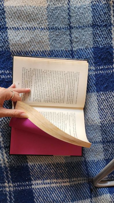 Володимир Лис - Камінь Посеред Саду