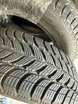 Dębica Frigo 185/65 r15
