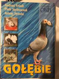 książka Gołębie golebie Frindt