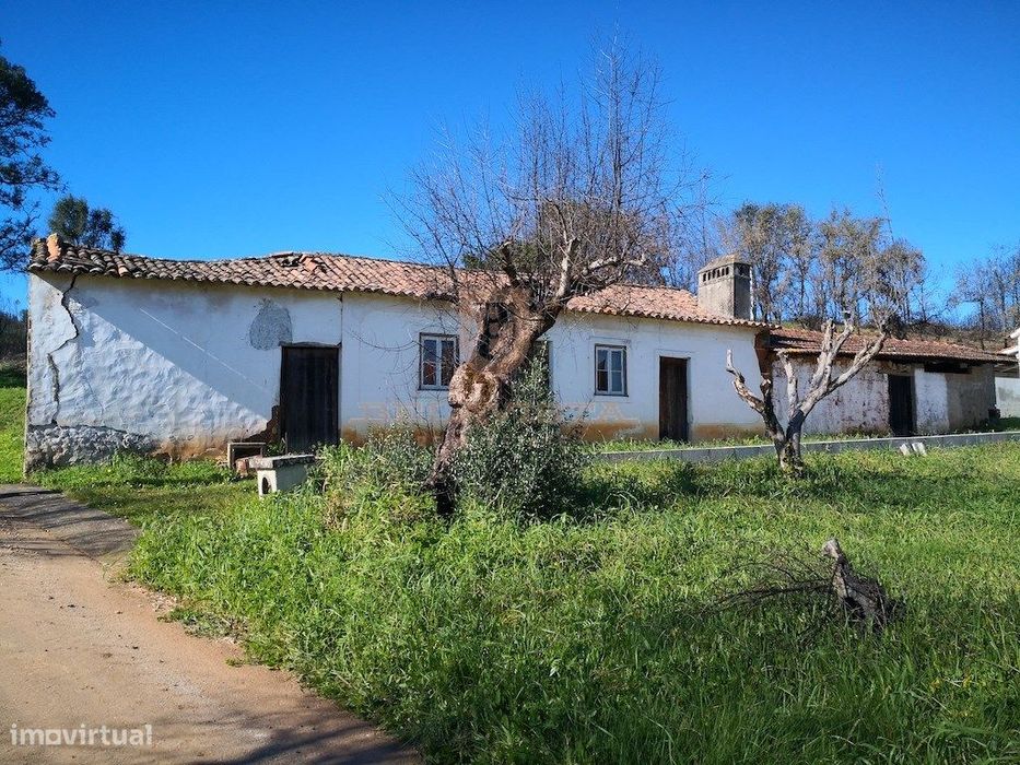 Oportunidade moradia T2 no campo - Freixianda