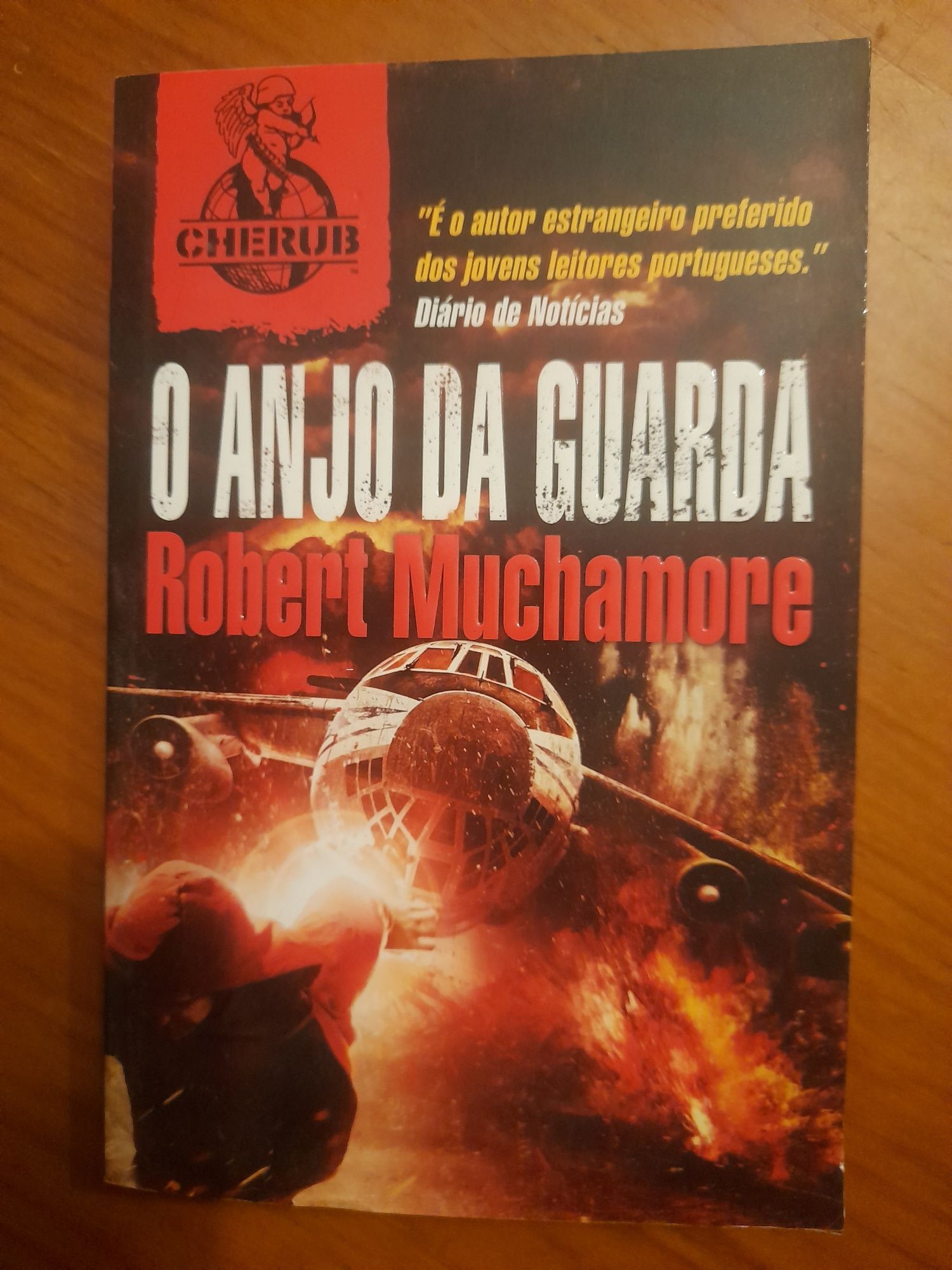 Livro "O anjo da guarda"