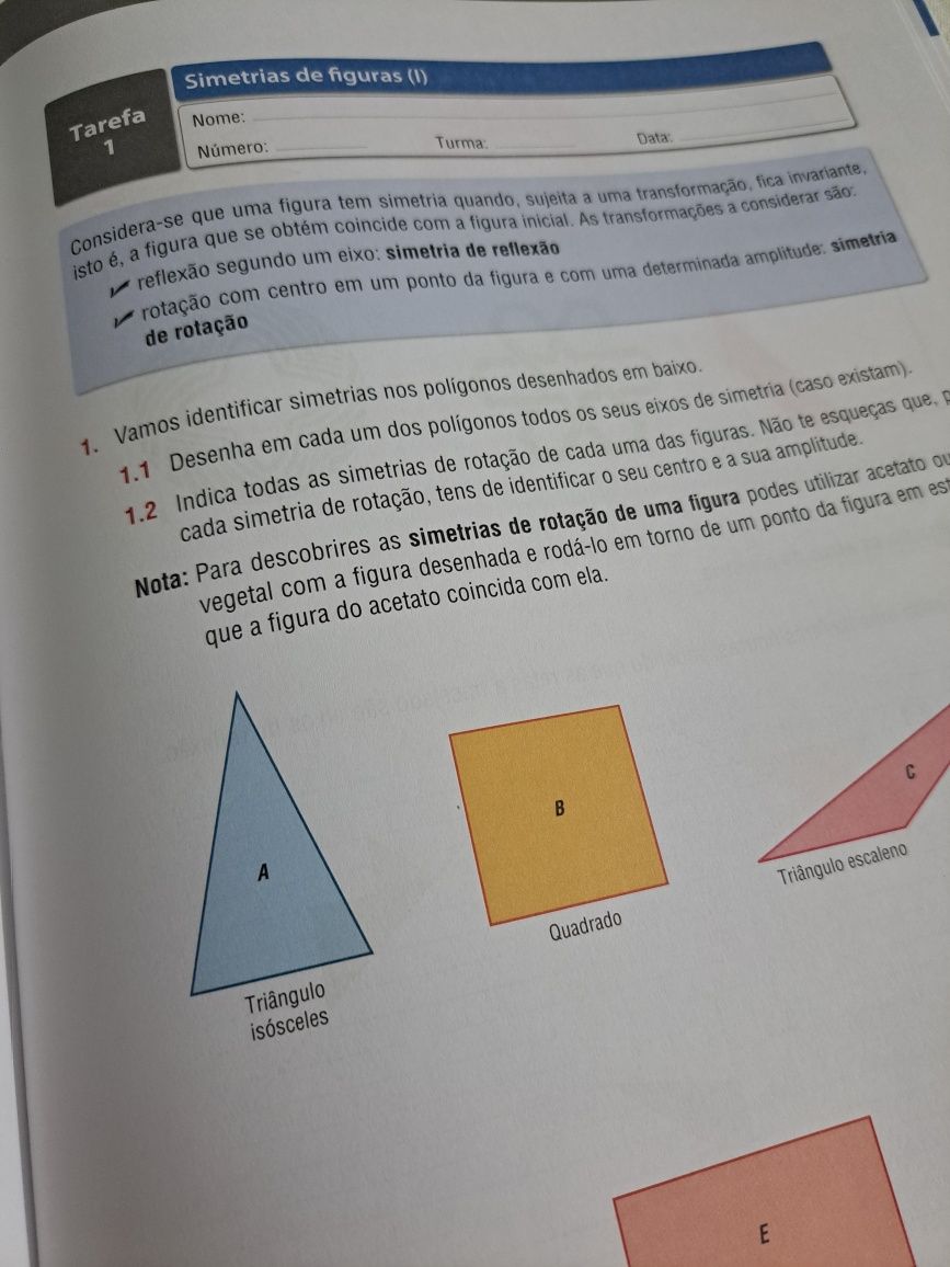 Guia do Professor  - Matemática 8 ano