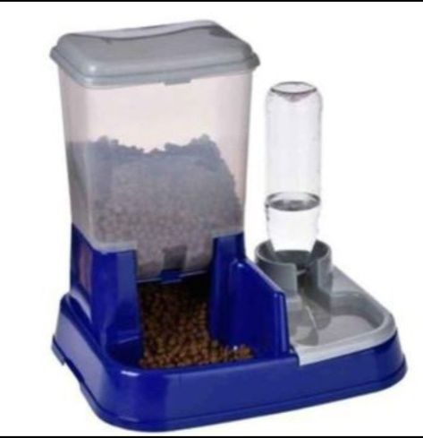Conjunto para  gato