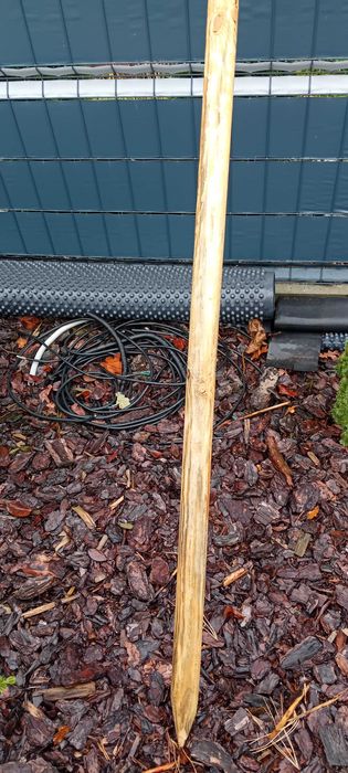 Palik podpora stempel