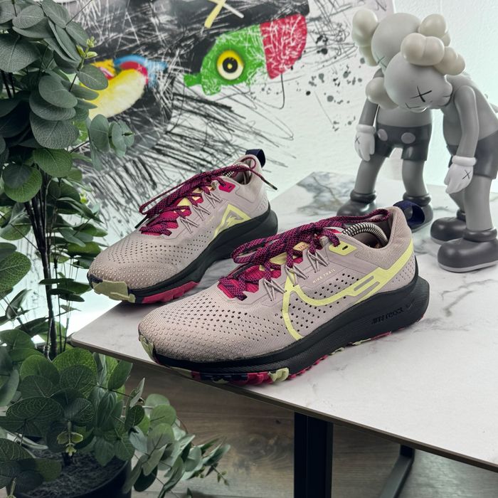 Кросівки Nike Pegasus Trail 4 40 розмір Е6122