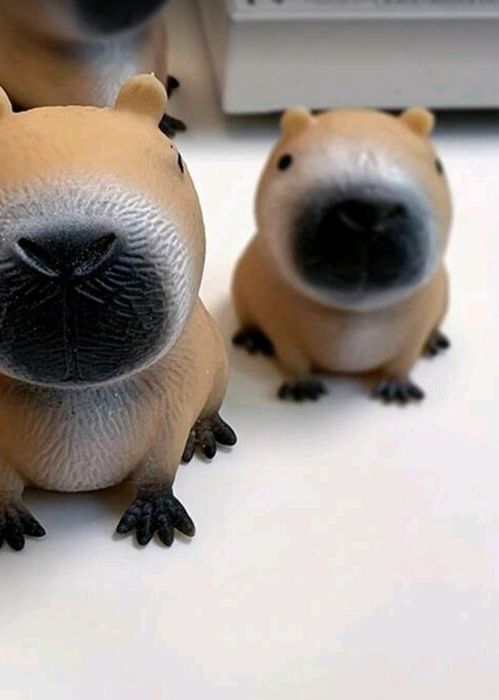 Kapibara gumowa nowa rozciągliwa