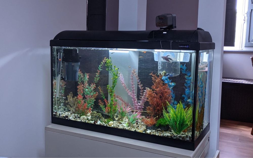 Aquário Completo com Filtro e Luz LED