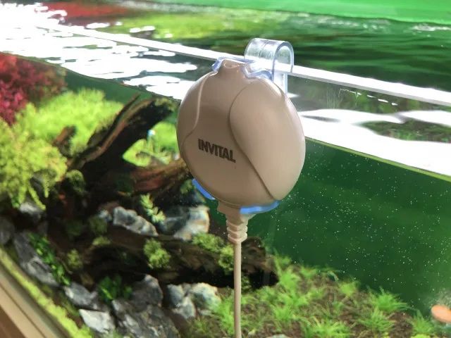 INVITAL Miniaturowy piezoelektryczny silnik napowietrzający