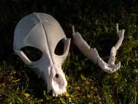 Skull dog maska na twarz przebranie kostium fursuit therian