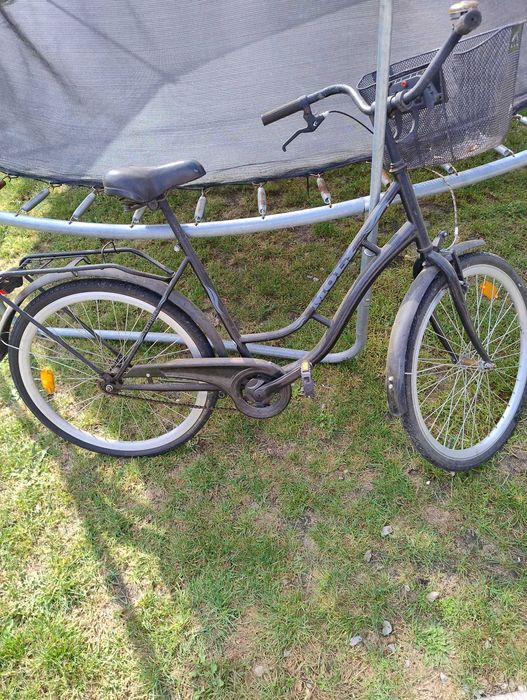Rower Dawstar moly