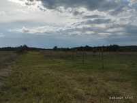 Na sprzedaż działka budowlana – Płonno, gm. Barlinek – 1200 m2