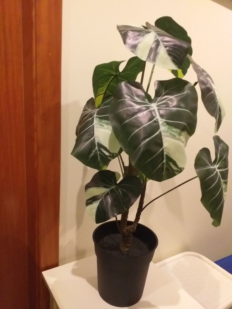 NOVA,Planta artificial IKEA 77 alt,vaso diâmetro 20,alt 18