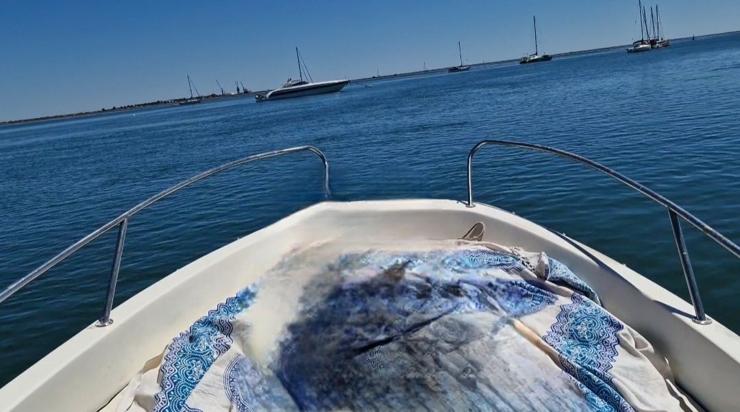 Barco  BENETEAU usado em bom estado