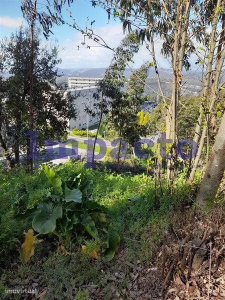 Terreno Rústico em Crestuma, Vila Nova de Gaia