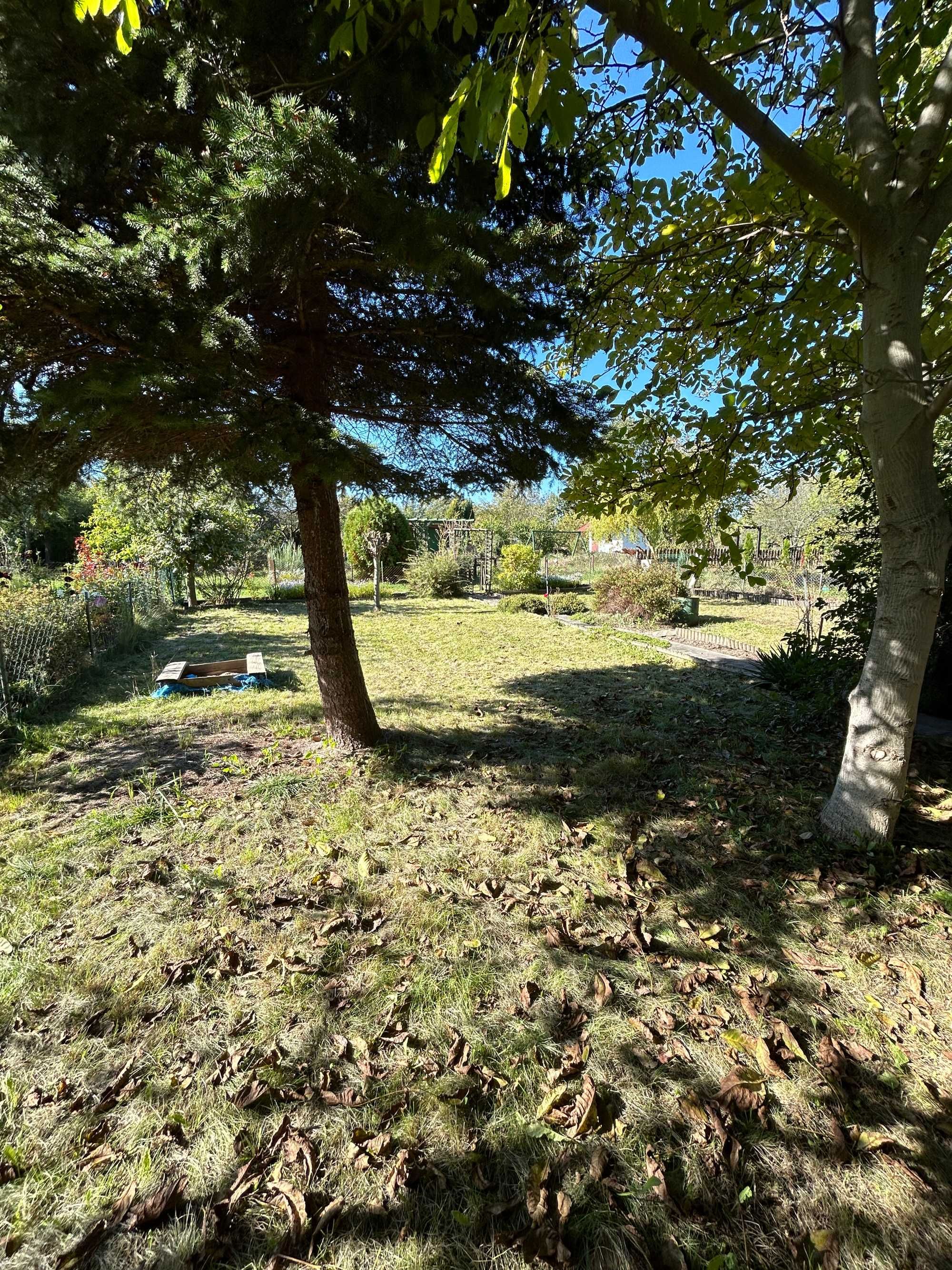 Ogródek działkowy ROD Piwonia Wrocław, ul. Graniczna 47