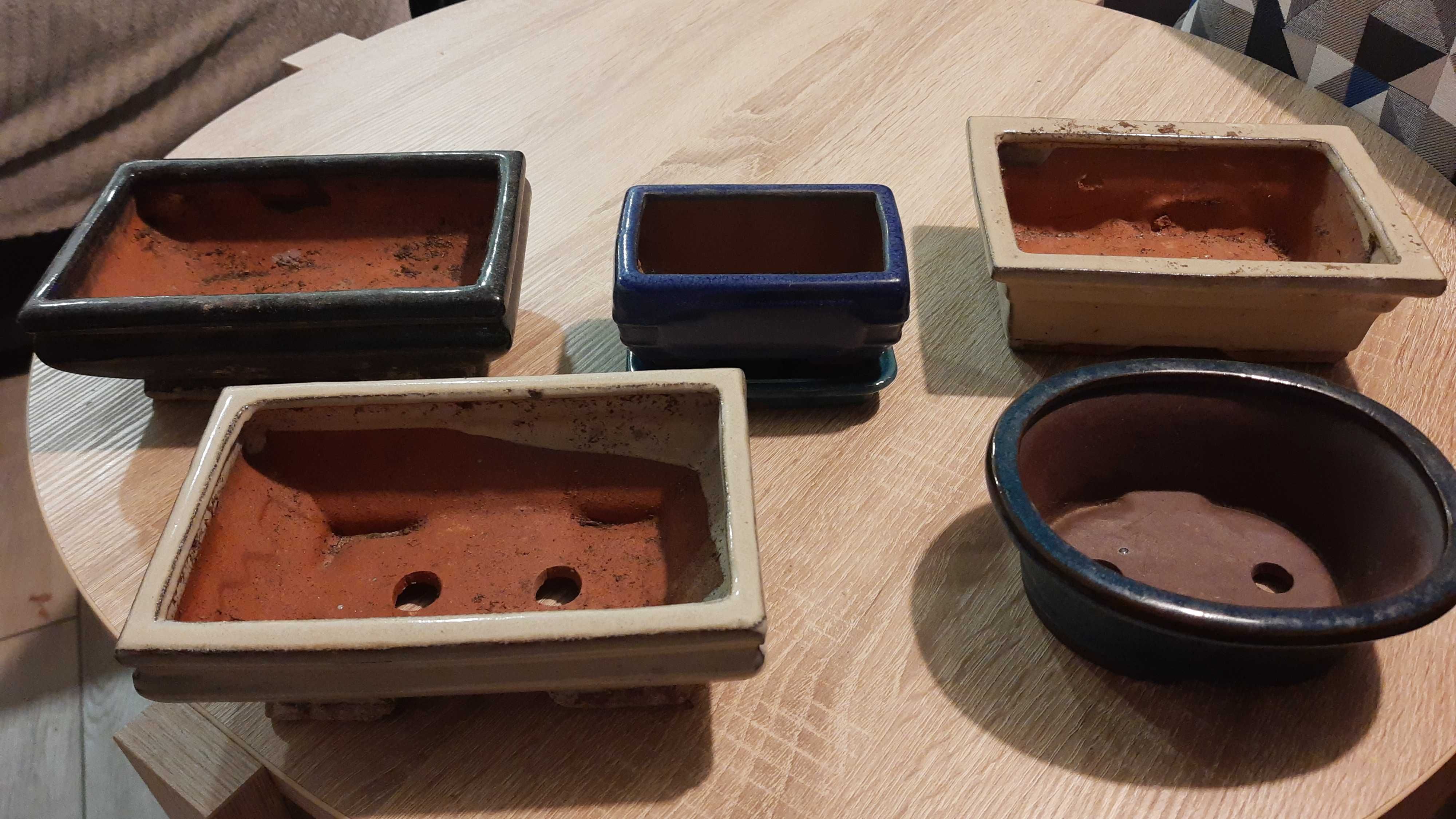 Ceramiczne doniczki do Bonsai