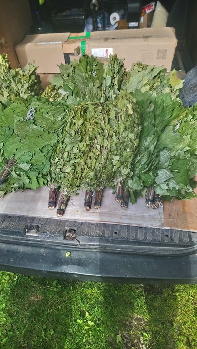 Віник банний, сауна, мітли 70₴