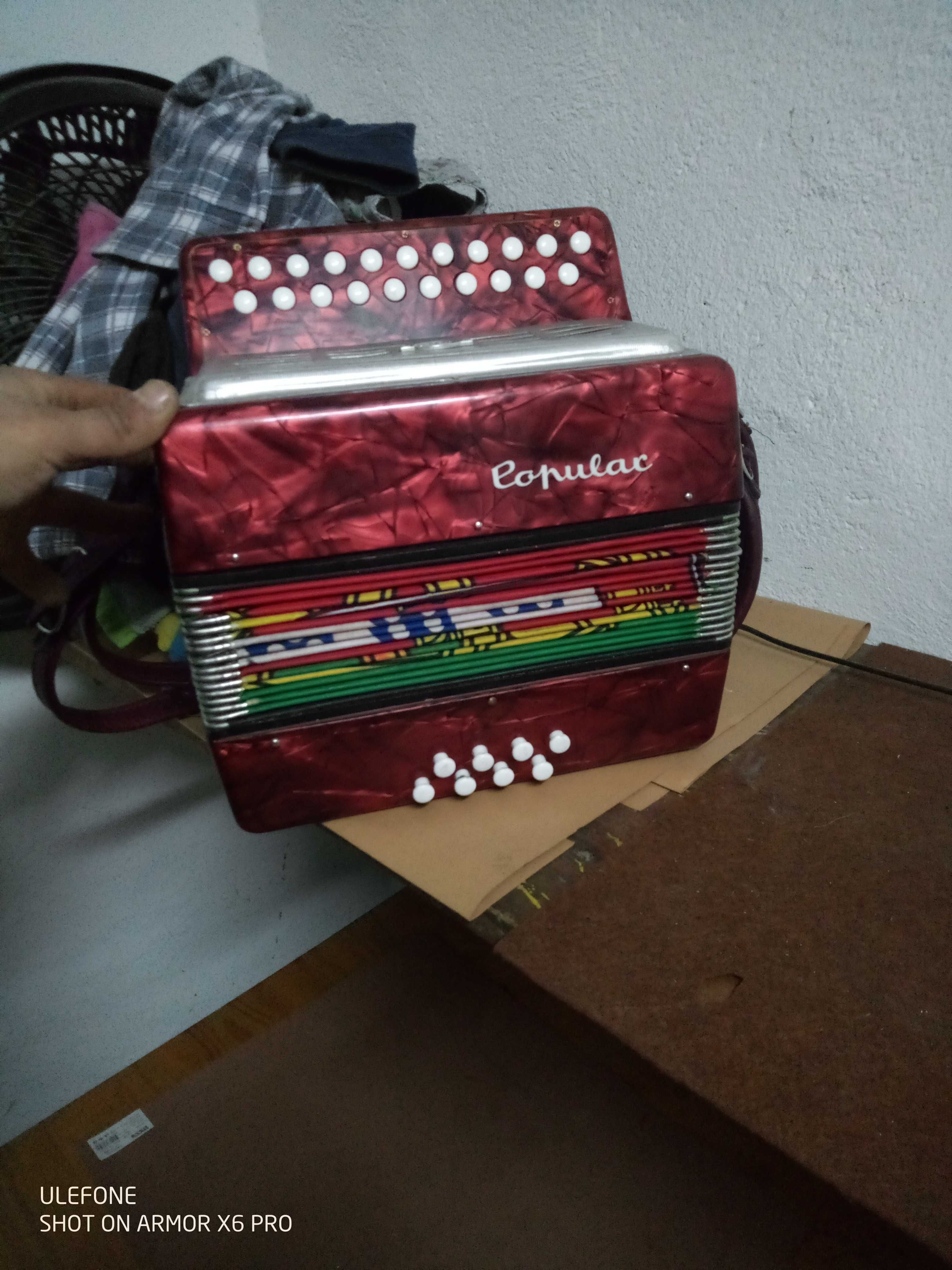 Concertina pequena verdadeira