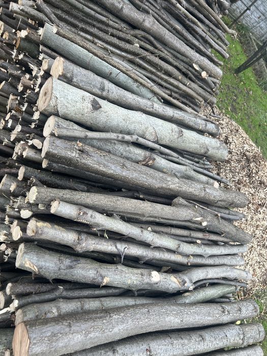 Metrowki Orzech laskowy sliwka drzewo opał kominek wędzarnia