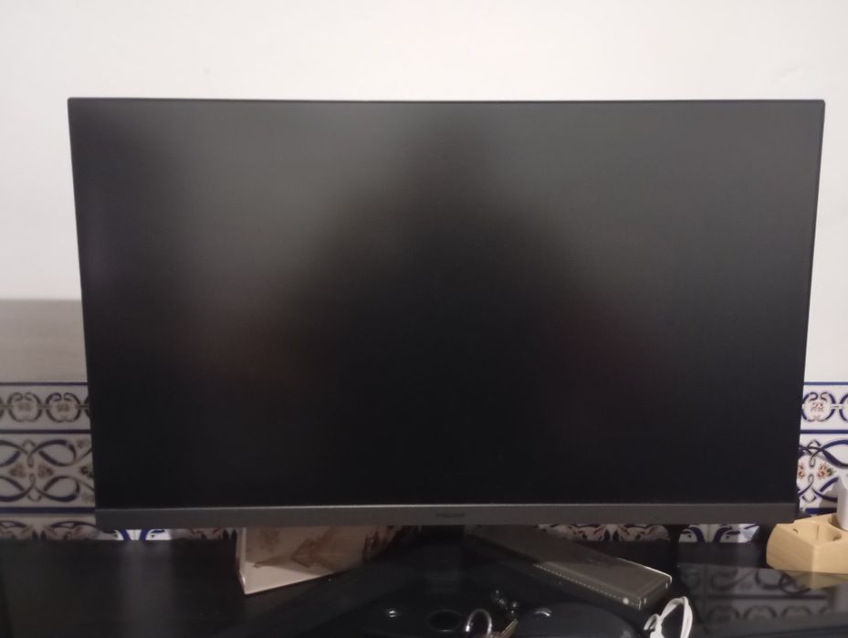 Monitor 24-  100hz