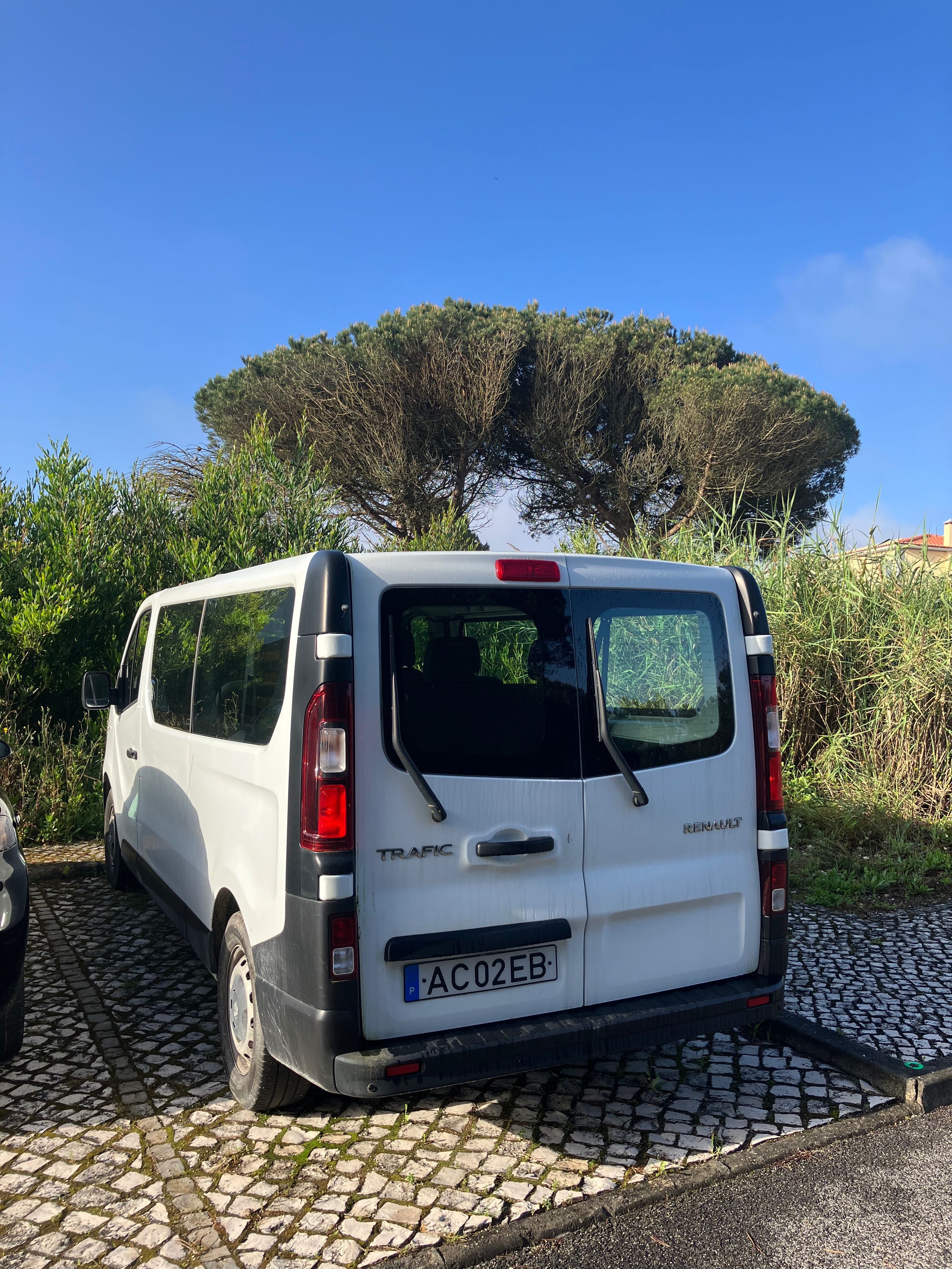 Renault Trafic - 9 people