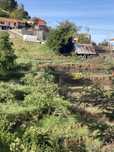 Terreno no Rochão, Camacha, Ilha da Madeira