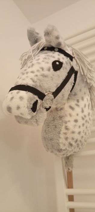 Hobby horse jasny