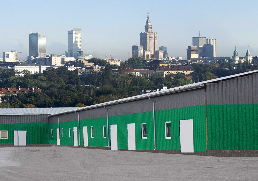Hala Magazyn Chłodnia do Wynajęcia