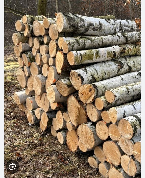 Drewno drzewo kominkowe opałowe sosna Brzoza grube