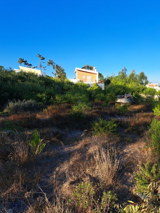 Limpeza de terrenos jardins vedações