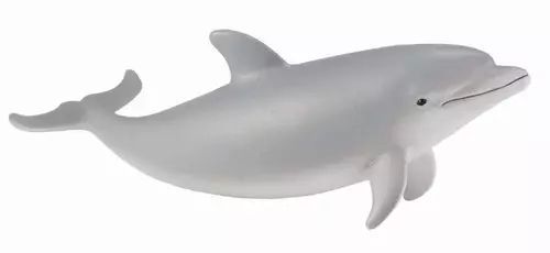 Delfin S. Collecta