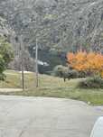 Terreno para Moradia em Miranda do Douro