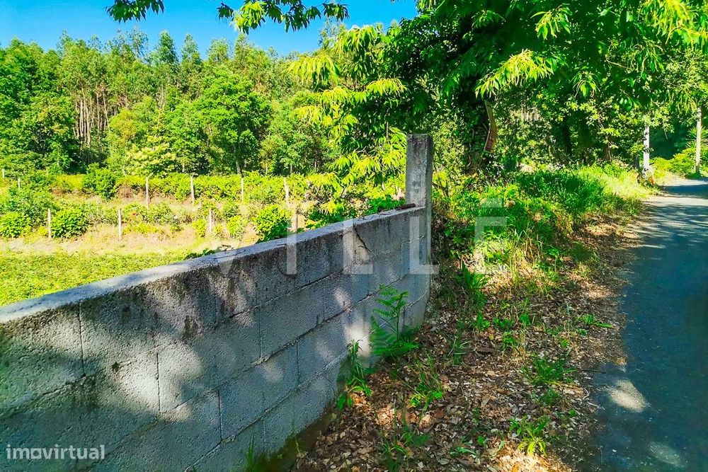 Terreno em Sever do Vouga com viabilidade para construção