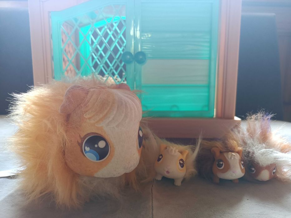 Little live pets świnki morskie mama suprise