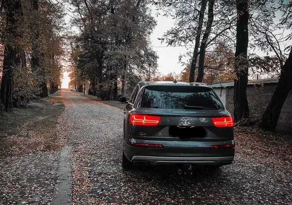 2019  Audi    Q7