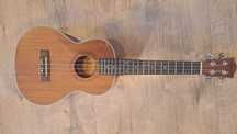 ukulele Ever Play