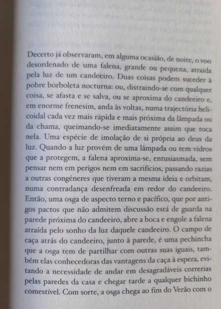 Consumidos pelo Fogo - Jaume Cabré
