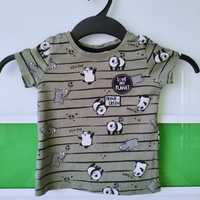 Khaki bluzka z krótkim rękawem t-shirt panda 86 92 98 So cute 12-18 m