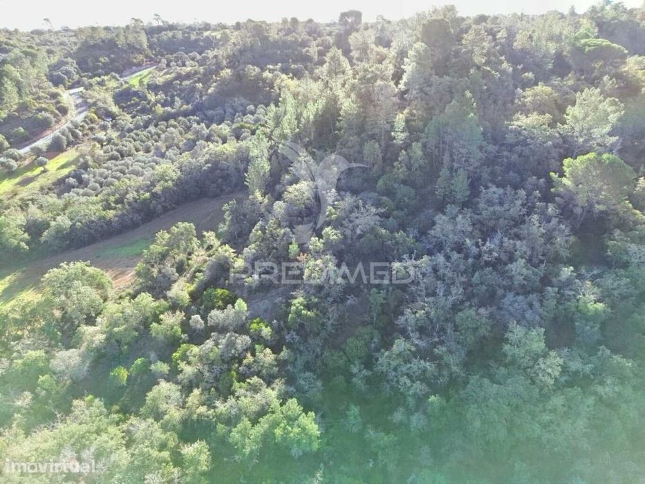 Terreno Rústico de 18.360 m² em Arneiro das Milhariças