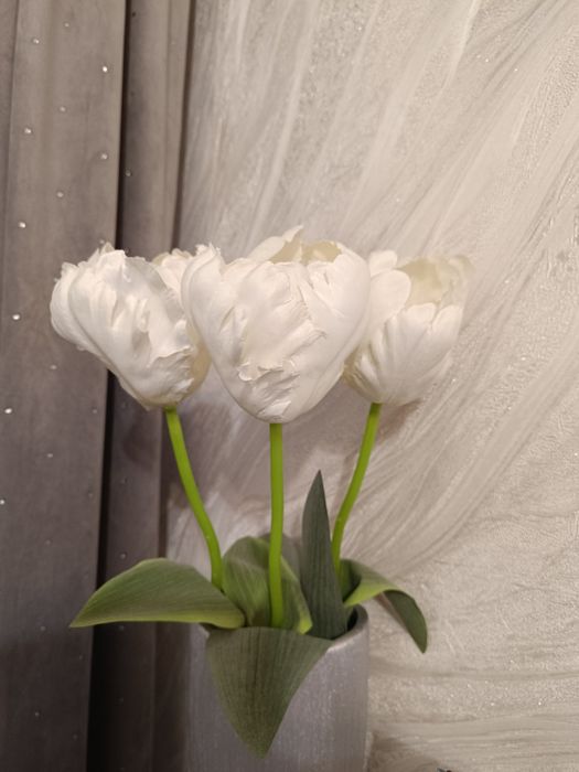 Piękne 3 białe tulipany z home you
