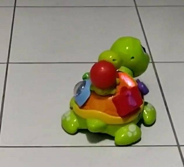 Interaktywny żółwik