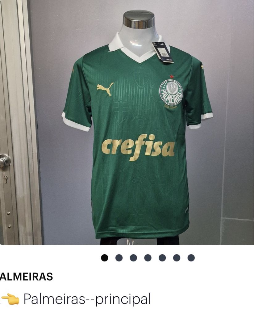 Camisola Palmeiras Paga 1 leva 2