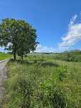 Działka rolno-budowlana z WZ 1.28ha Florczaki,5km od Kretowin
