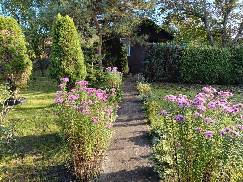 działka ROD Wypalanki