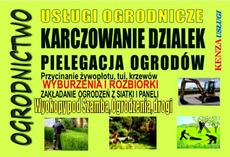 Wycinka drzew, Karczowanie działek, Zakładanie trawników, Pielęgnacja