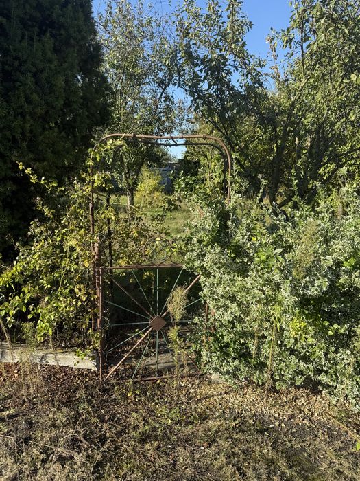 Ogródek działkowy ROD Sikorskiego