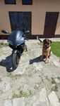 Megelli 125 r 2010r. 4300 bez negocjacji