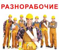 Грузчики и подсобники,по Одессы и области звоните  +380 93 644 6070